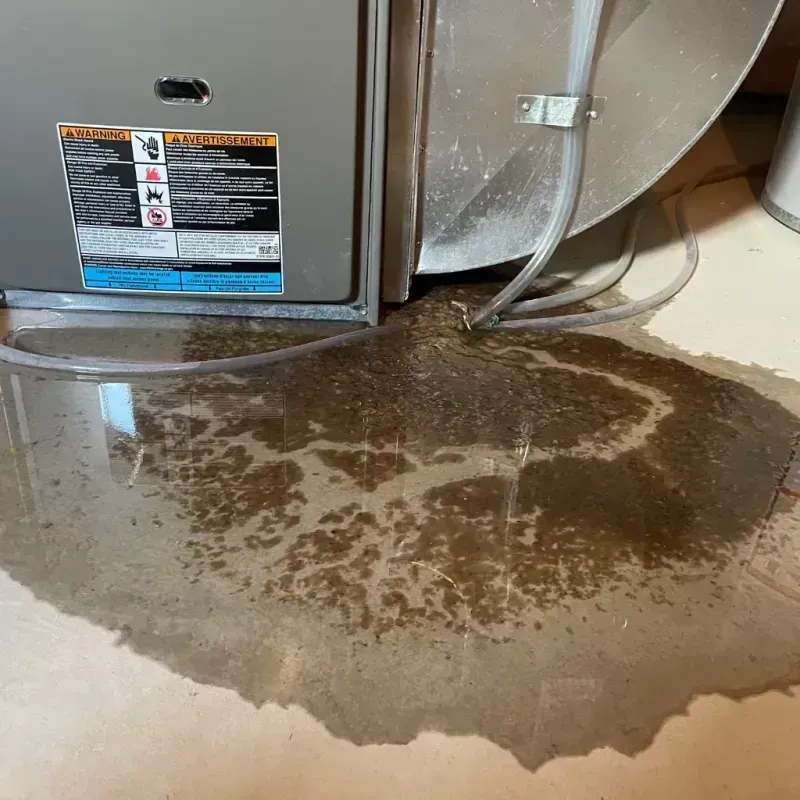 Appliance Leak Cleanup in Lakeview, MI